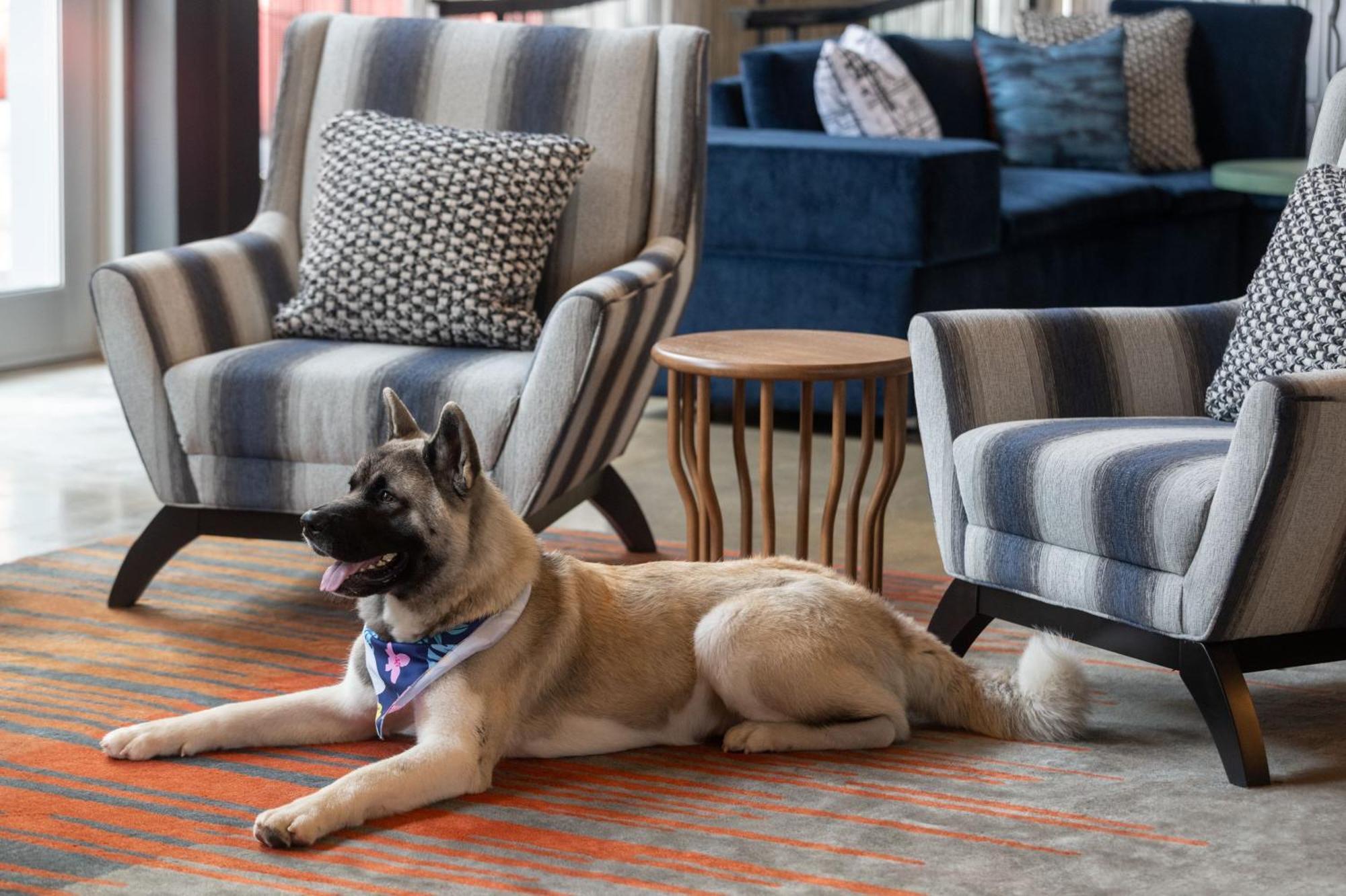 Aloft Beachwood Εξωτερικό φωτογραφία